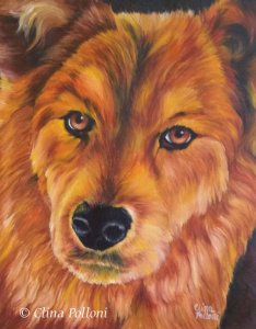 Pet Portrait of Brown Chow Chow